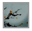 ����Ǯ��